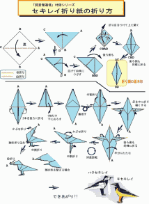 Origami conchim